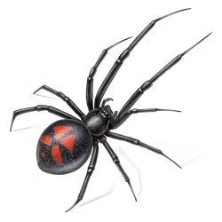 Imagen PNG para descargar